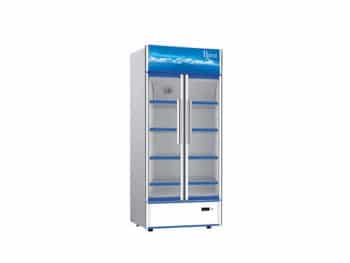 Réfrigérateur Vitrine Roch RSR-870 - 753 L