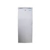 Changer BD-216 Upright Freezer - 216 L