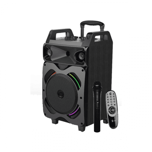 Haut-parleur DJ Syinix SYN-DJ1810TWD