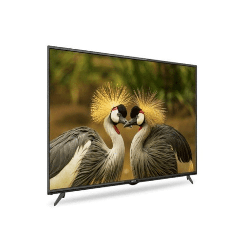 Téléviseur CAC 55" CAC55TVS - Smart TV