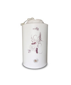 Chauffe-eau Roch RWH-80V15 - 80L