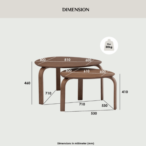 Ensemble de 2 Tables Basses SANDRA 109 - 132053