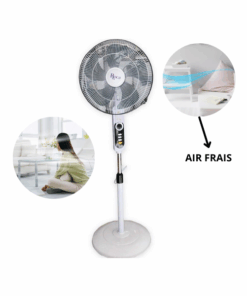 Ventilateur sur pied Roch RSF-1801-D - 18"
