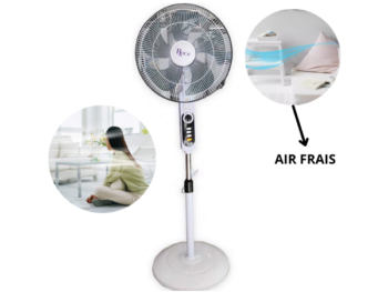 Ventilateur sur pied Roch RSF-1801-D - 18"