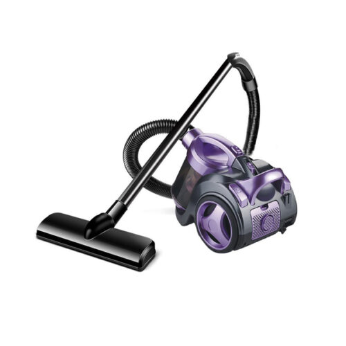 Aspirateur RAF R.8662P - 1200W