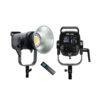 Lampe Projecteur COB-300WRC-300W