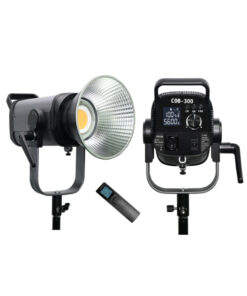 Lampe Projecteur COB-300WRC-300W