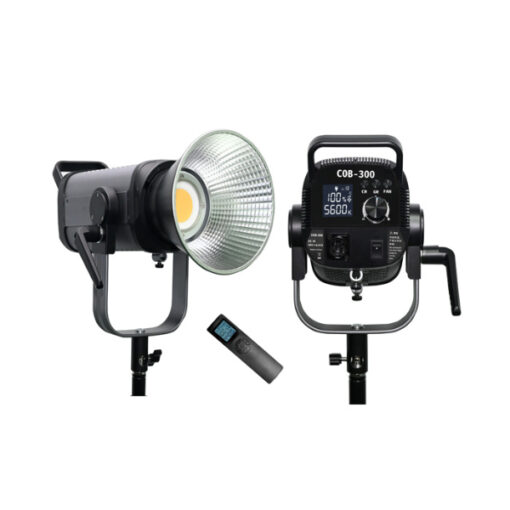 Lampe Projecteur COB-300WRC-300W