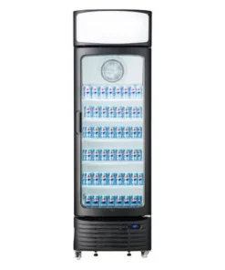 Réfrigerateur vitrine Hisense FL50FC 382L