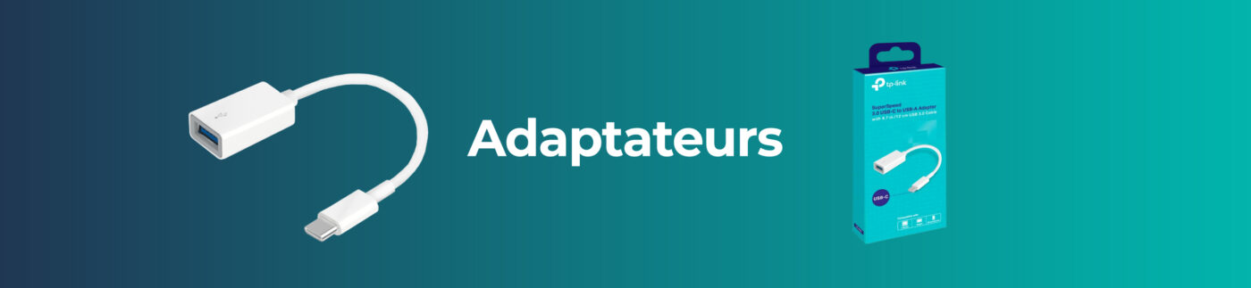 Adaptateur R SCAR RS-DVIHD (HDMI vers DVI-D Dual Link)