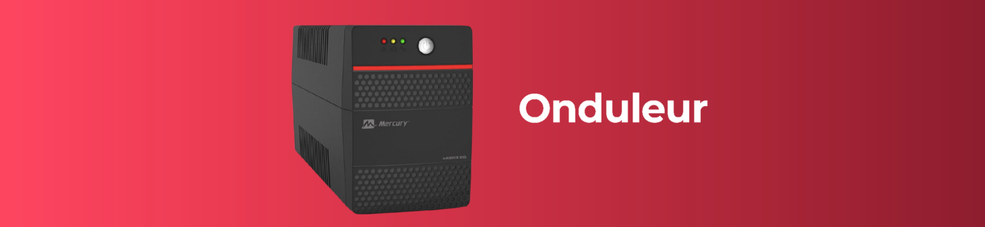 Onduleur Mercury UPS Elite1200 Pro (Onduleur interactif 1200VA)