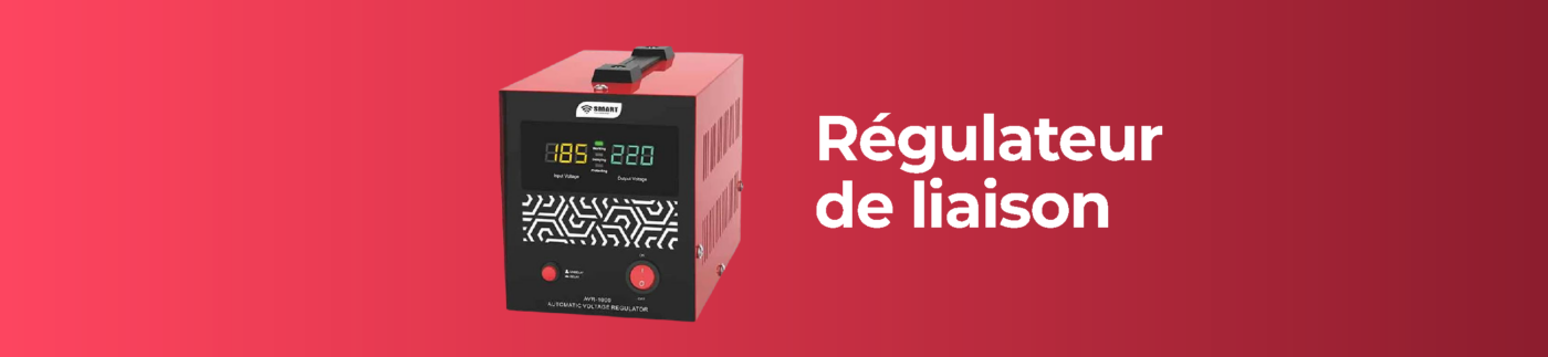 Régulateur Roch DVR-2000 - 2000W