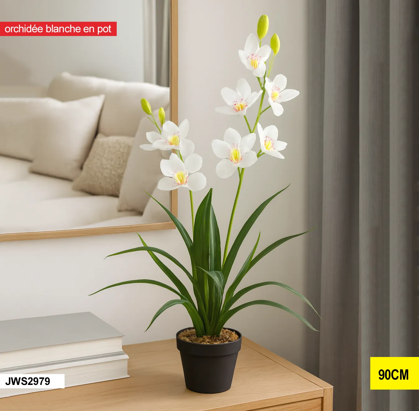 Orchidée blanche en pot – jws2979 JWS2979 Orchidée blanche en pot – jws2979 JWS2979