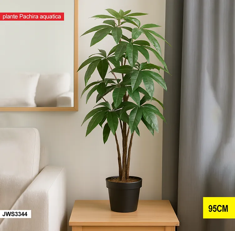 Plante pachira aquatica – jws3344 JWS3344-1 Plante pachira aquatica – jws3344 JWS3344-1