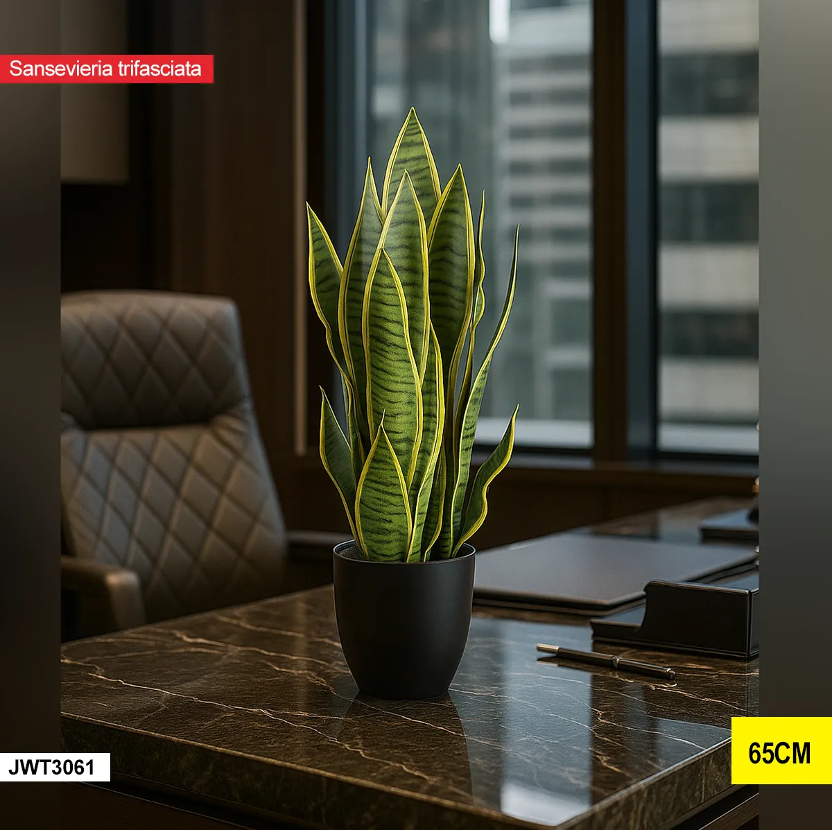 Sansevieria trifasciata – jwt3061 JWT3061 Sansevieria trifasciata – jwt3061 JWT3061