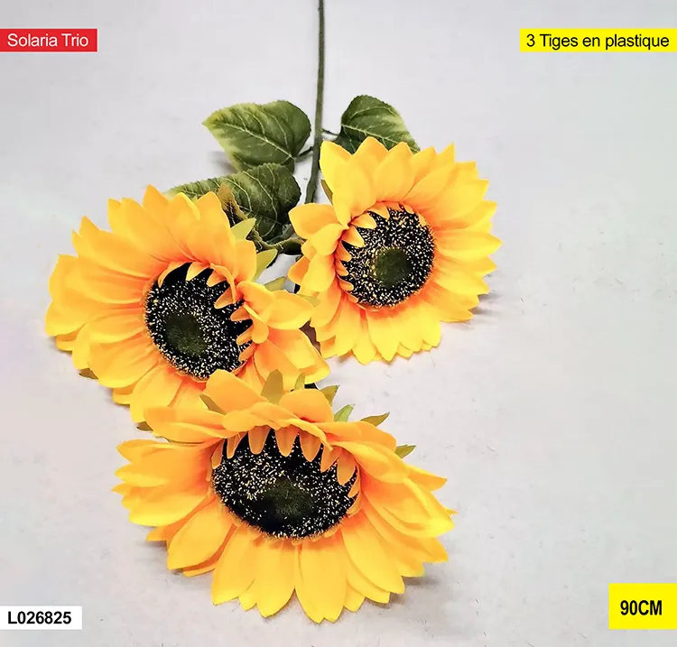 Solaria trio – l026825 L026825-1 Solaria trio – l026825 L026825-1