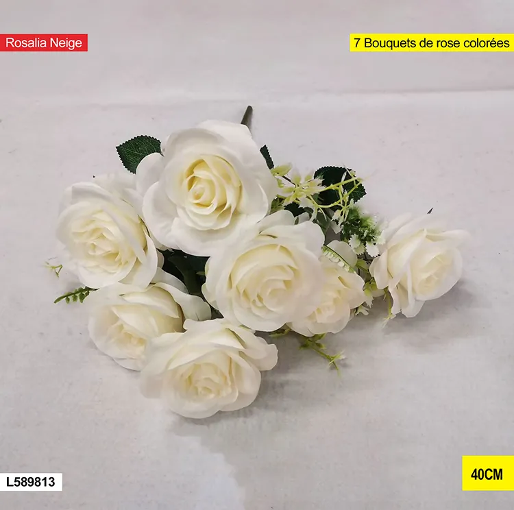 Rosalia neige – l589813 L589813 Rosalia neige – l589813 L589813