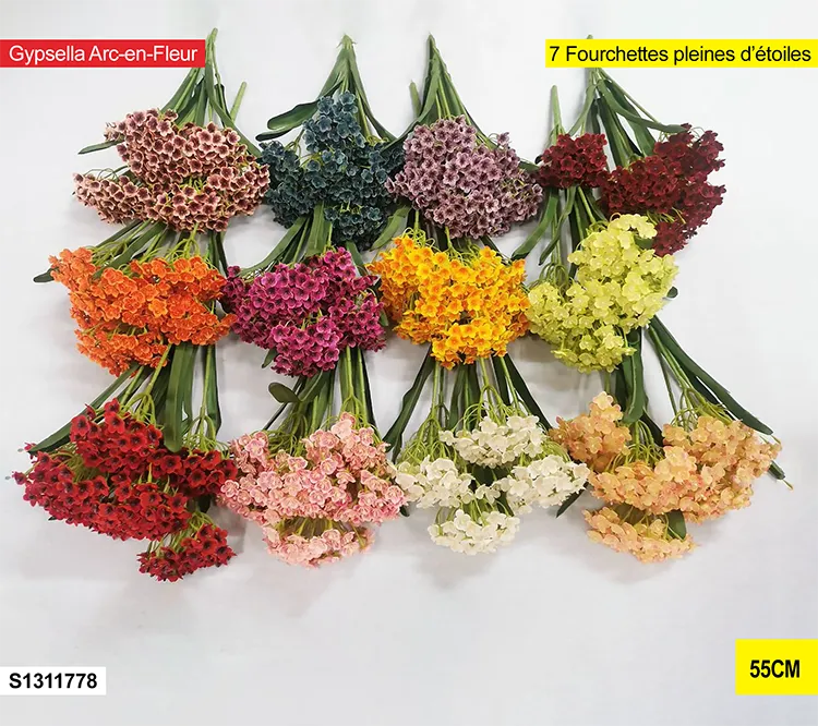Gypsella arc-en-fleur – s1311778 S1311778 Gypsella arc-en-fleur – s1311778 S1311778
