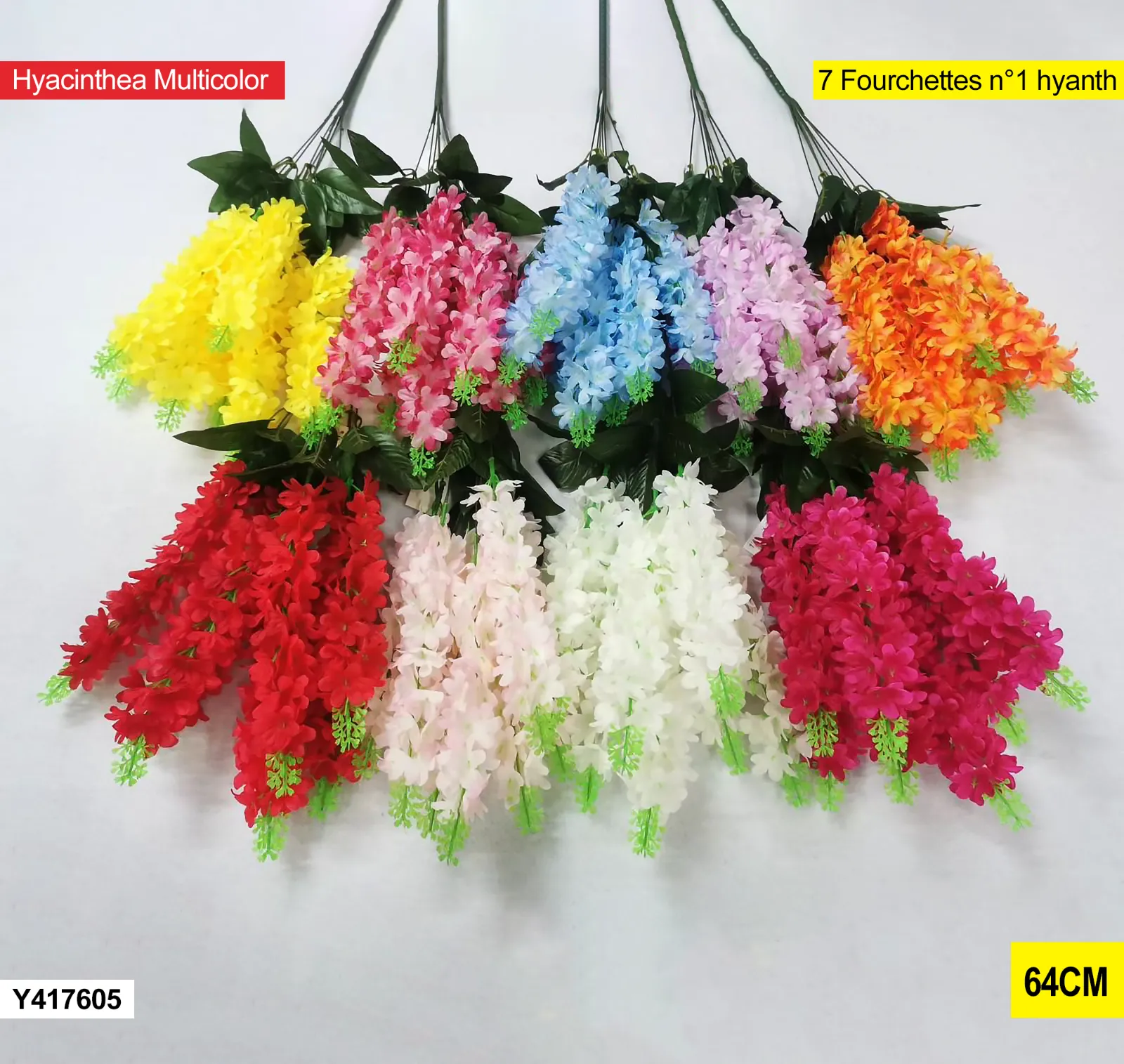 Hyacinthea multicolor – y417605 Y417605 Hyacinthea multicolor – y417605 Y417605